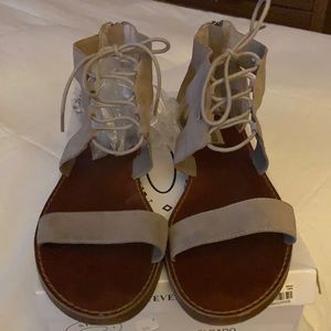 Sandals ! Steve Madden